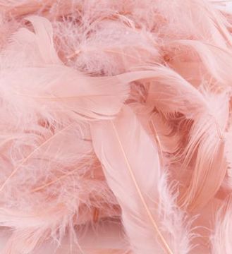 Eleganza Feathers Mixed sizes 3inch-5inch 50g bag Rose Gold No.87 - Accessories